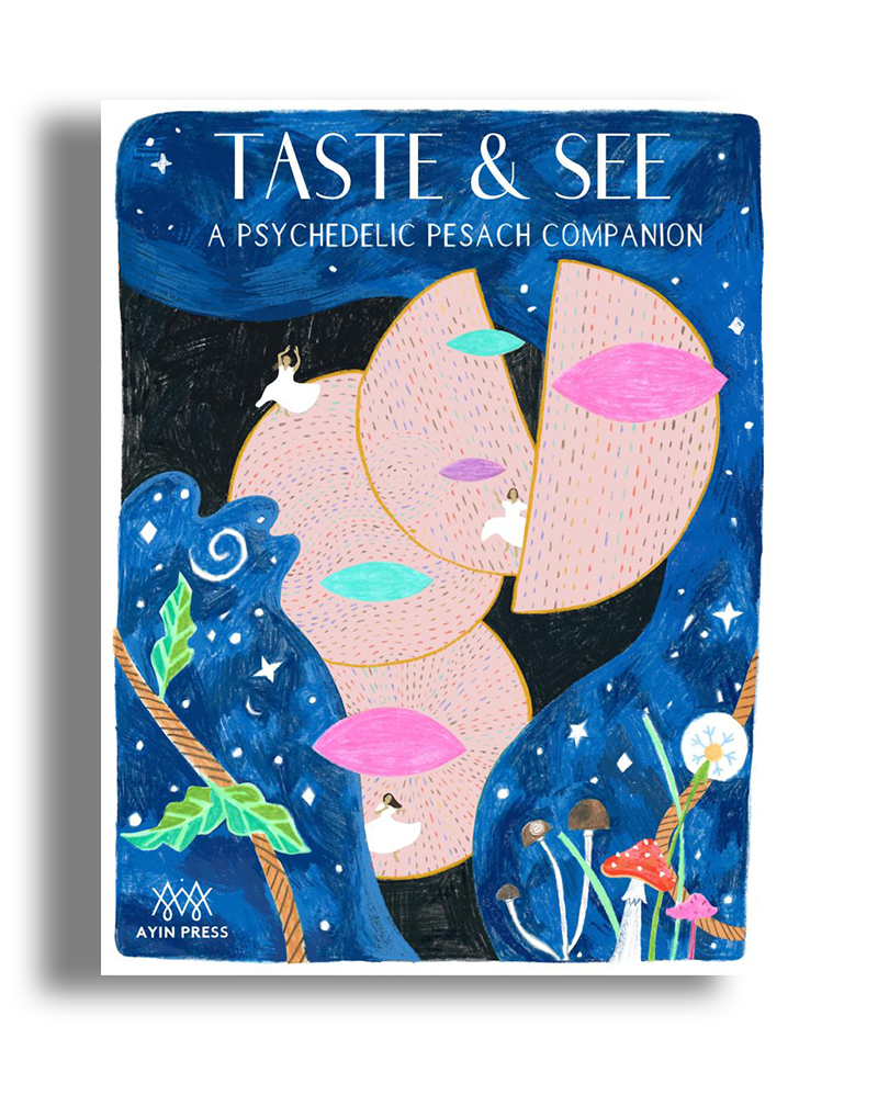 Psychedelic Pesach Zine (Print)