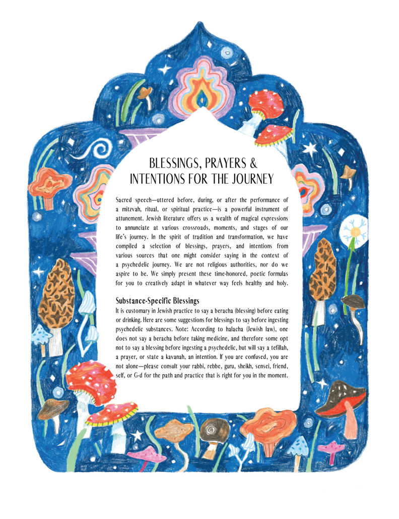 Taste & See: A Psychedelic Pesach Companion (Print + Digital)