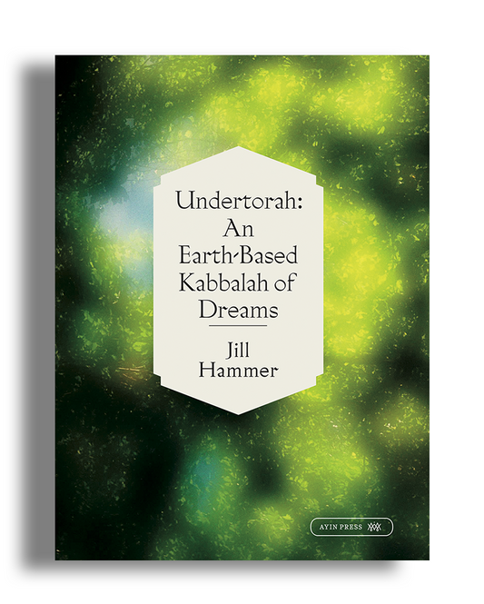 Undertorah: An Earth-Based Kabbalah of Dreams by Jill Hammer