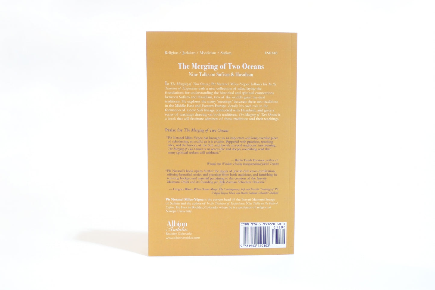 The Merging of Two Oceans: Nine Talks on Sufism & Hasidism