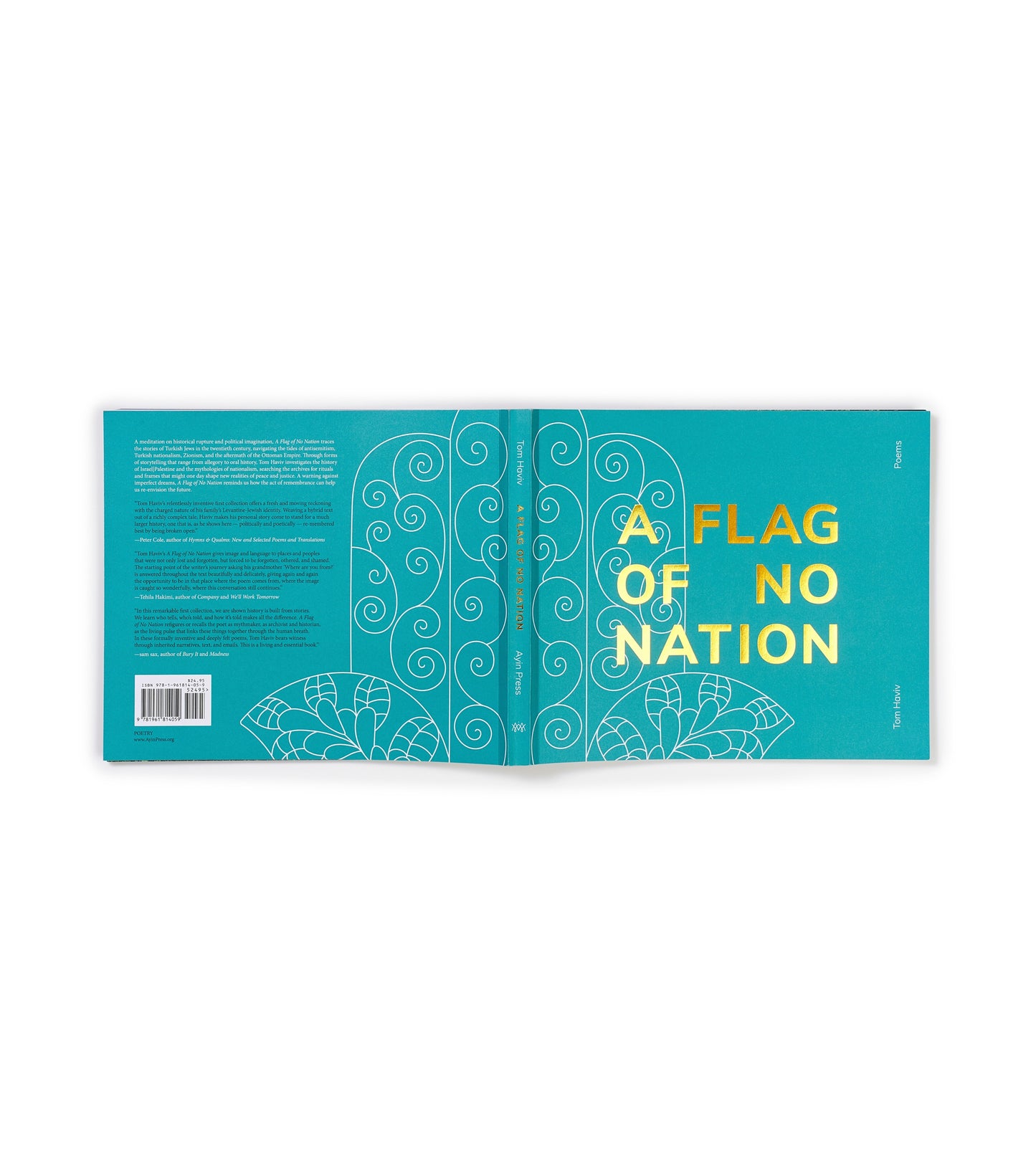 A Flag of No Nation by Tom Haviv (multiple editions)