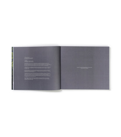 A Flag of No Nation by Tom Haviv (multiple editions)