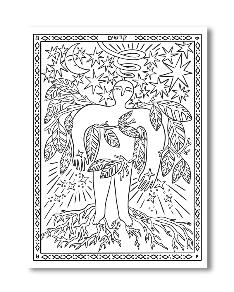 The Whole Torah Coloring Book (Preorder)